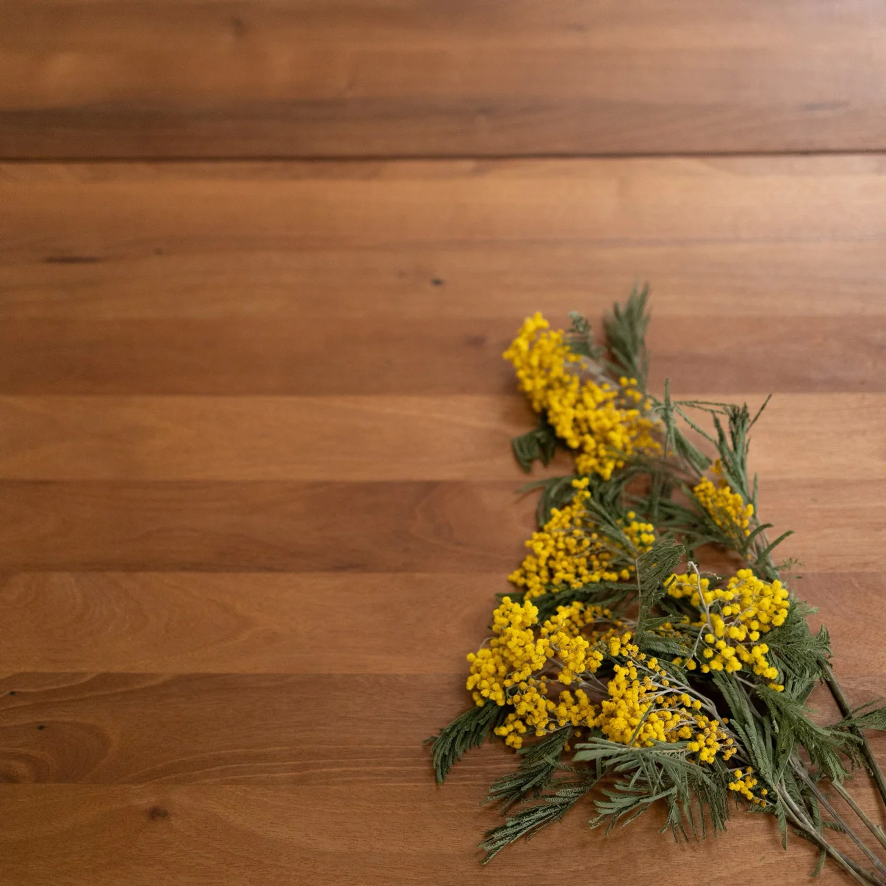 Imagen del producto 17